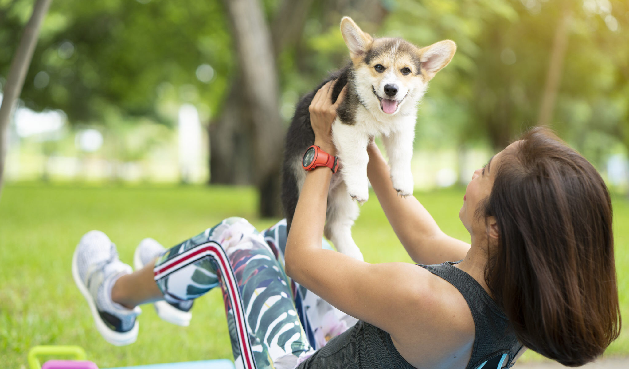 Workouts with Our Canine Friends