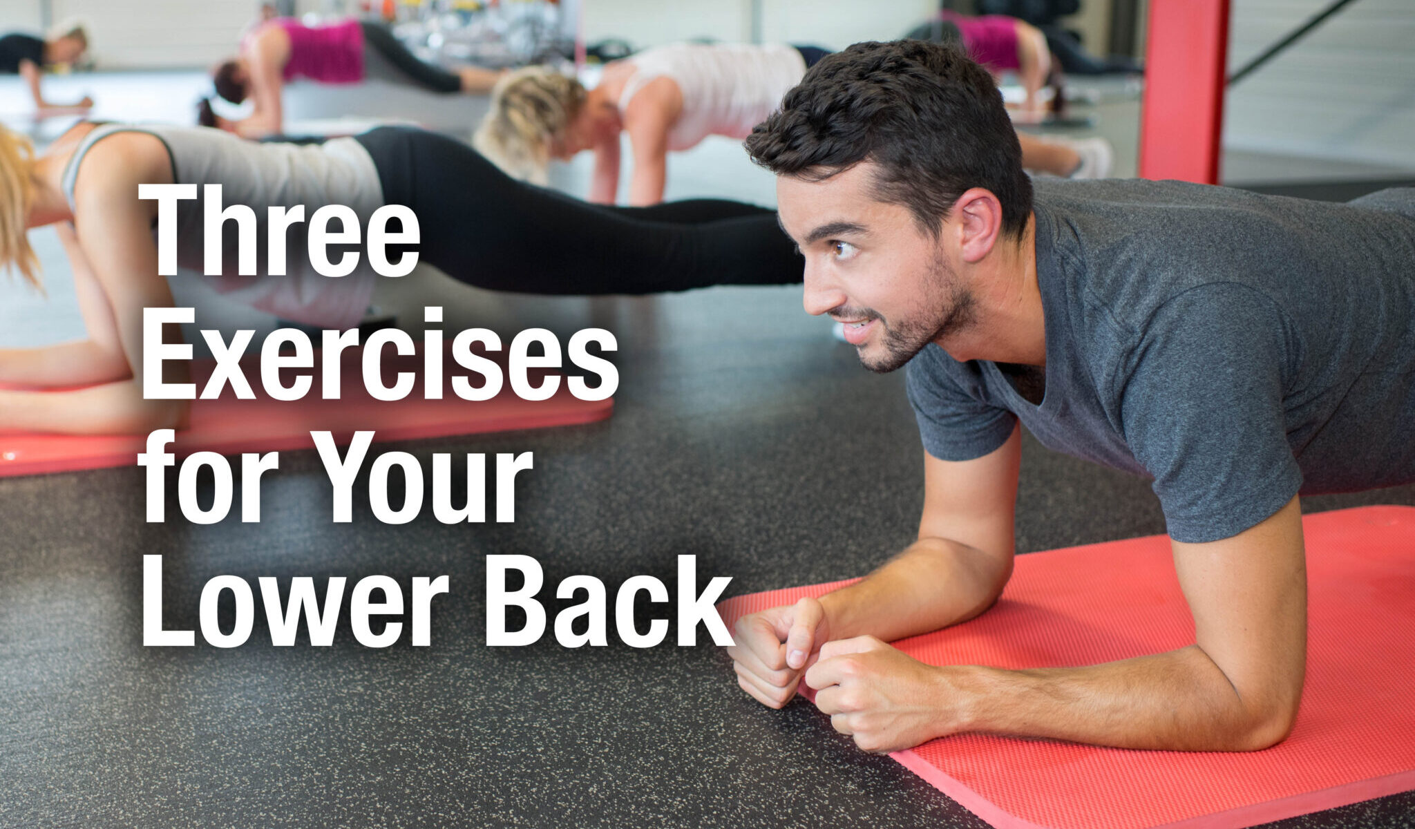 lower back exercises
