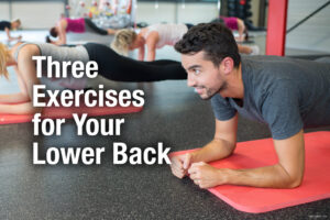 lower back exercises